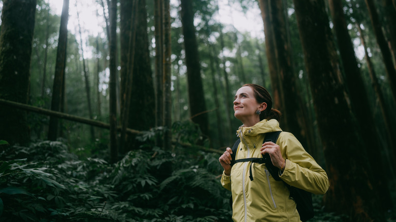 Woman hiking in the forest