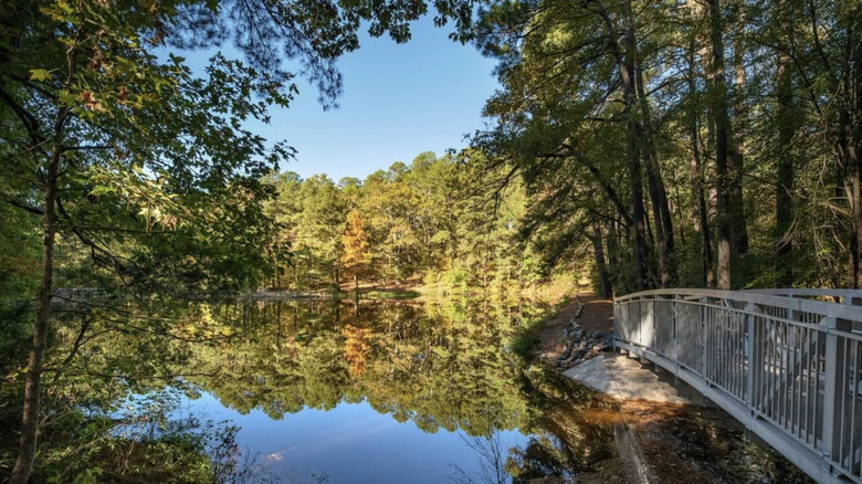 A bridge over a small lake in wooded Logoly State Park