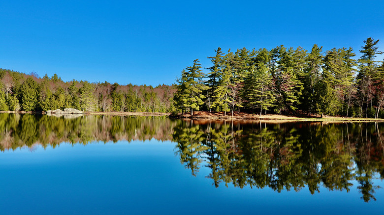 Reflections on the water at Putnam Pond Campground in New York's Adirondacks.
