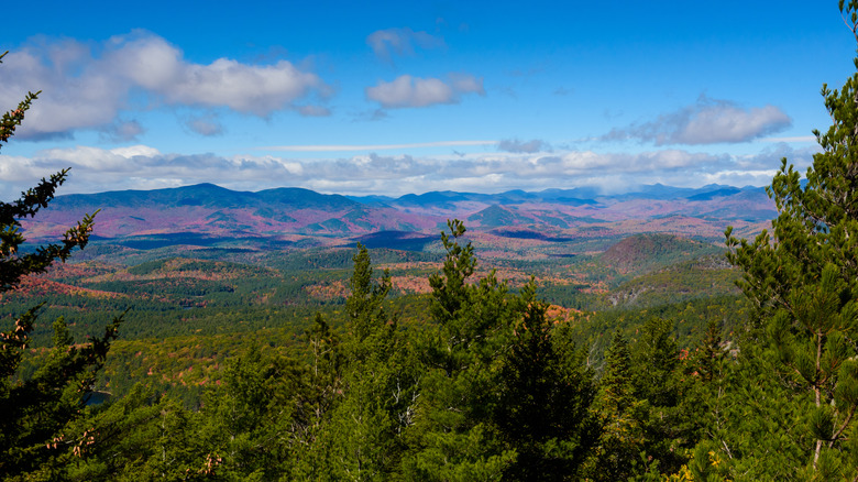 The Pharaoh Lake Wilderness from Treadway Mountain in the New York Adirondacks.