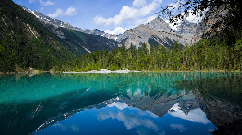 Landscape of Berg Lake at Mt Robson Provincial Park