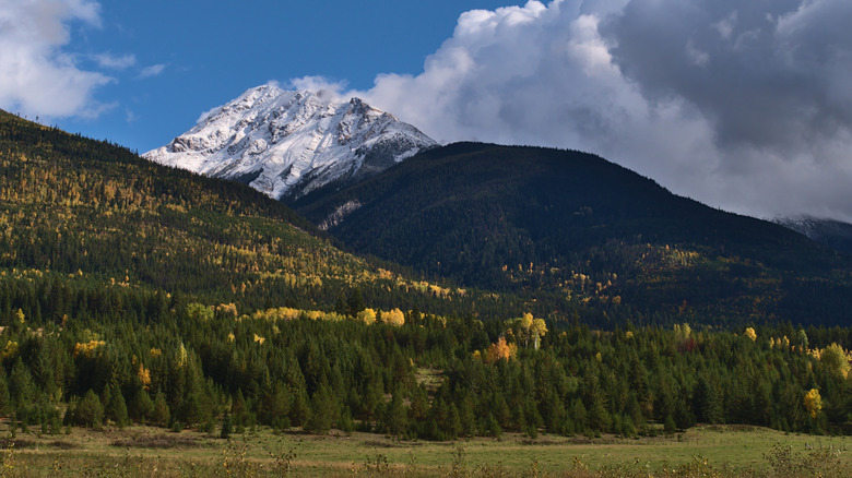 Surrounding mountain views of McBride, Canada