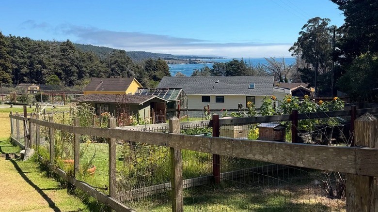 View from Mar Vista Farm