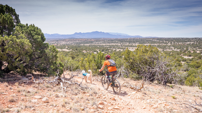 Cyclist and dog on a trail in Galisteo Basin Preserve