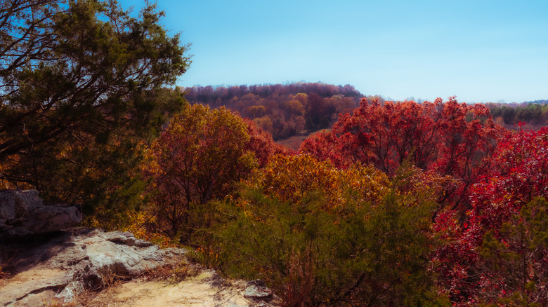 view from a rocky overlook with trees that have red and gold leaves