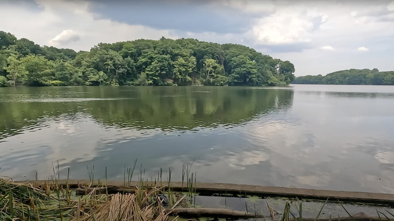 Lake with green trees under a blue sky