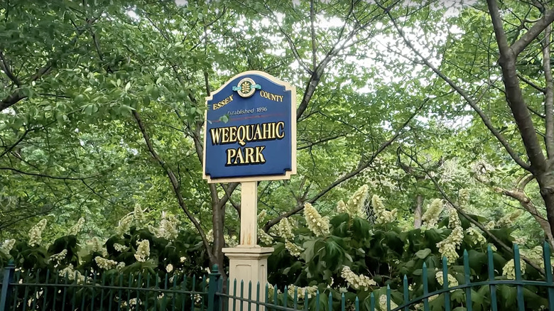 Blue and yellow sign in front of green trees and green fence