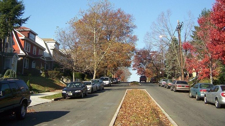 Road with cars on it and trees and streetlights