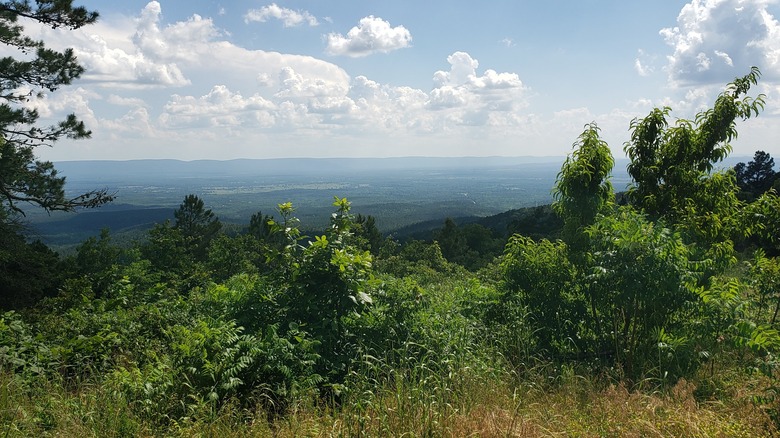 Oklahoma views near Talihina