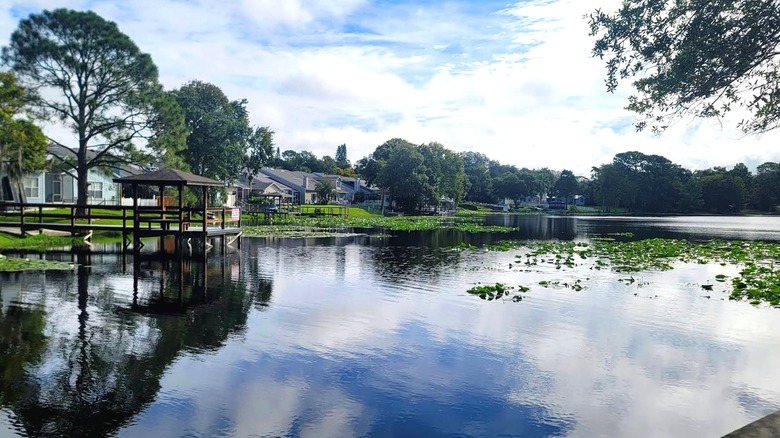 Water, trees, and houses in Secret Lake Park, Casselberry, Florida