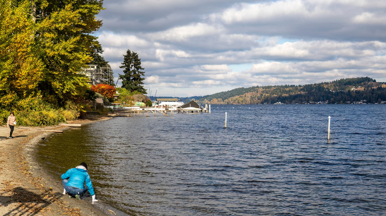 Two people at Matthew's Beach in Seattle, Washington