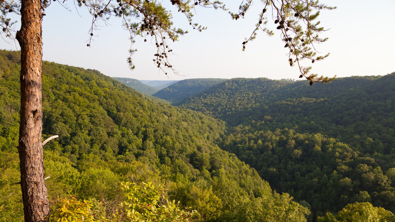 View of the Cumberland Plateau
