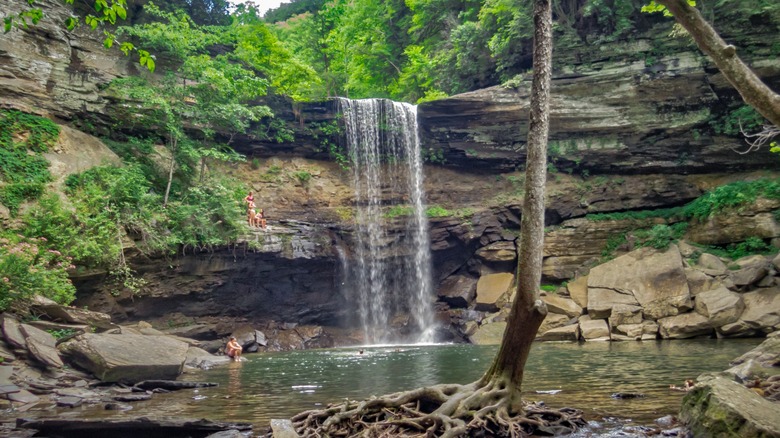 ﻿﻿Greeter Falls in the Savage Gulf State Natural Area