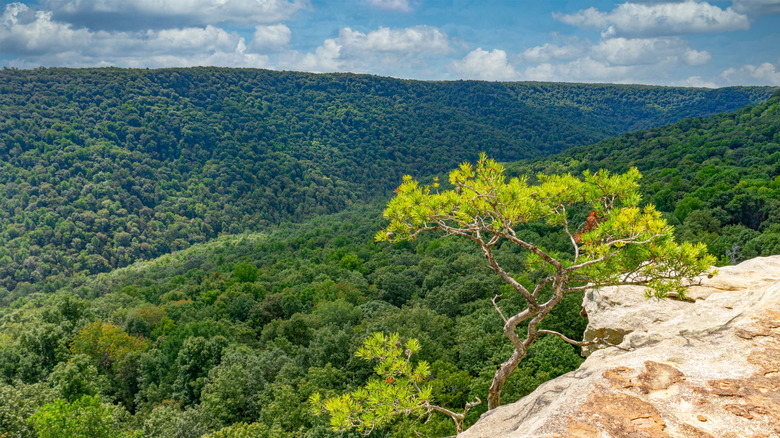 Rocky cliff overlooking Savage Gulf