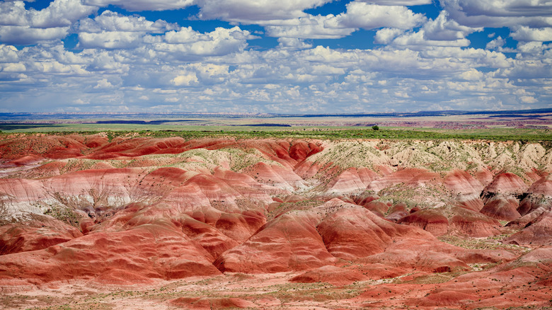 A colorful desert in Petrified Forest National Park.
