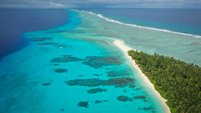 Island with white sand beaches, covered in dense palm trees, with coral reef lagoon