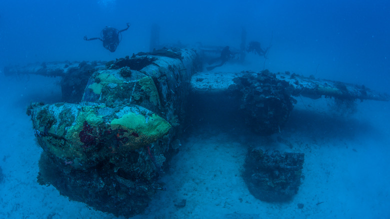 Wreck diving at a B-25 plane wreck remaining from World War II