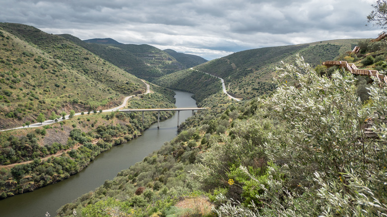 A bridge crosses a river between steep banks in the Greater Côa Valley, Portugal