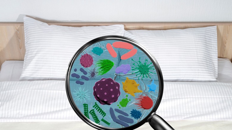 A magnifying glass shows evidence of germs on a hotel bed