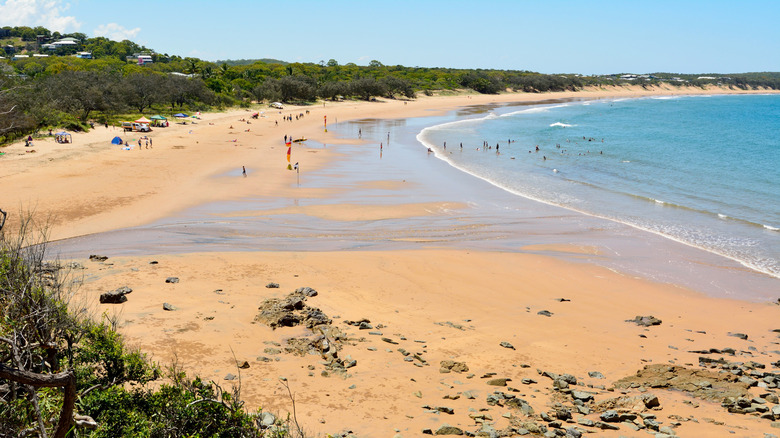 People swimming and relaxing on the sandy shores of Agnes Water Main Beach