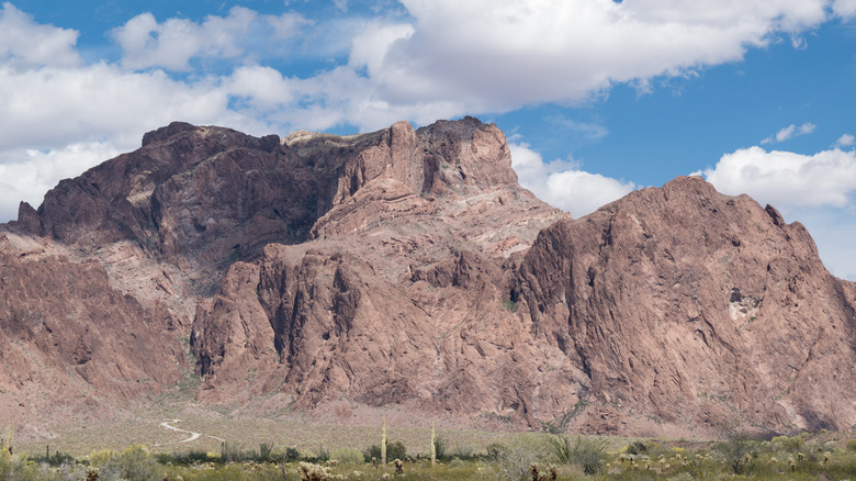 Blue skies against white clouds and mountains. Cactus can be seen in the foreground