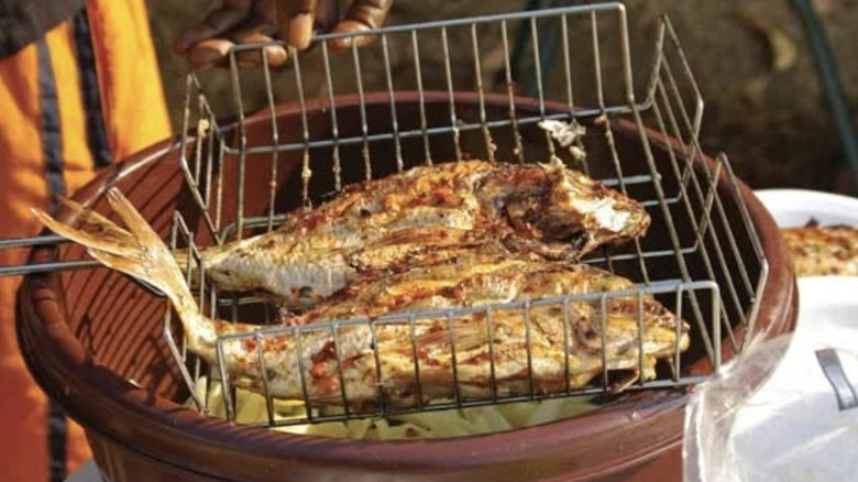 Charred fish on a grilling rack