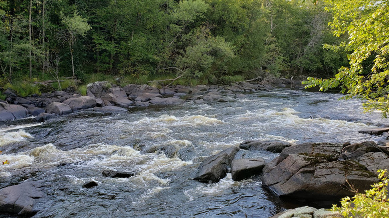 Running water over rocks surrounded by trees in Flambeau River State Forest.