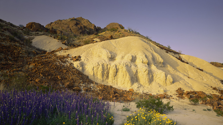 View of sandy hills with wildflowers