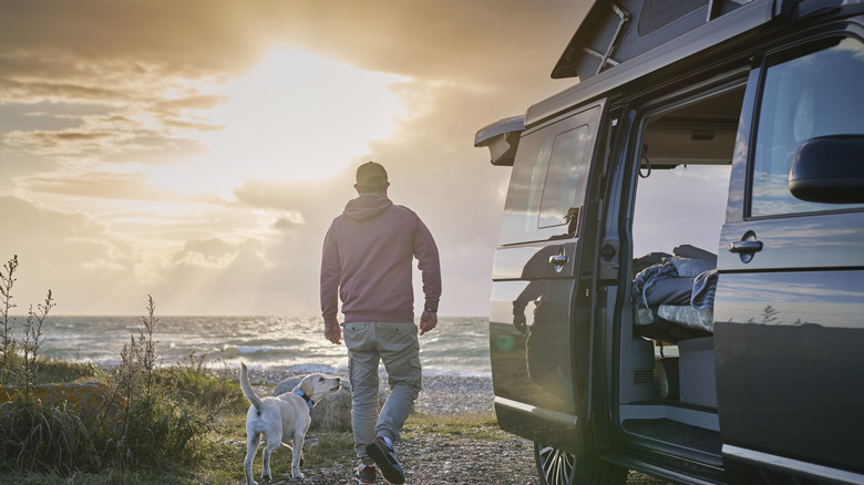 A man and his dog on a beach with a van