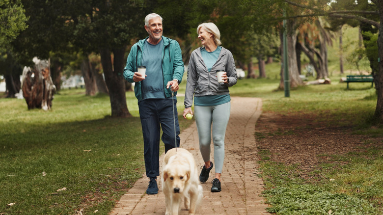 Senior couple walking a dog in a park
