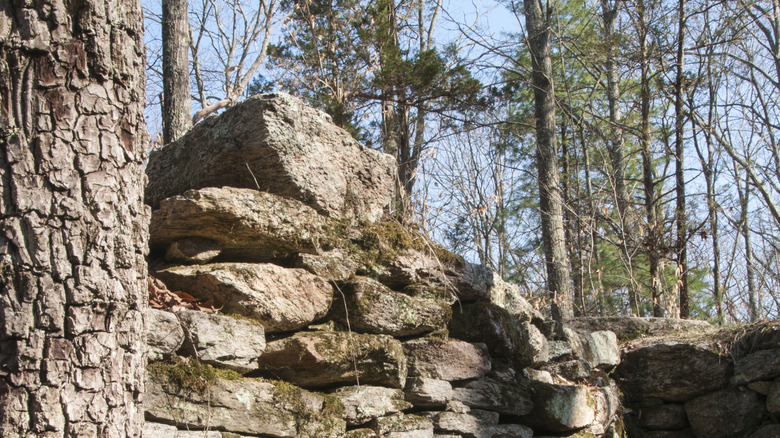 Foundation of an old building at ﻿﻿George B. Parker Woodland Wildlife Refuge