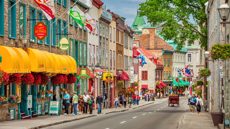 View of the charming Rue Saint-Louis in Quebec City