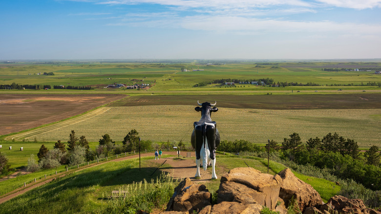 Salem Sue's view of North Dakota