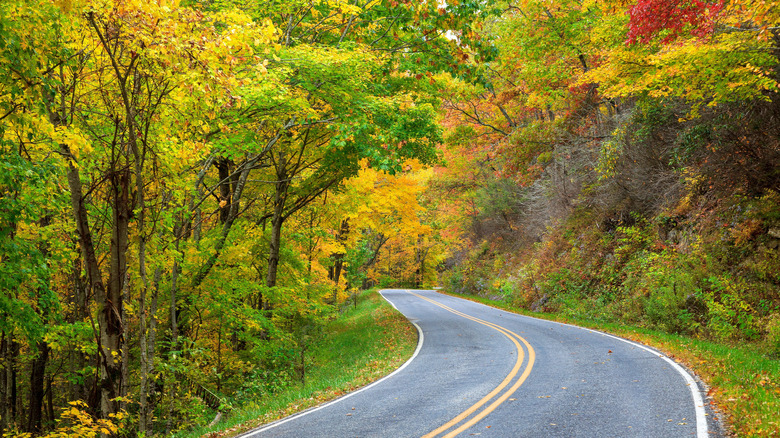 stretch of road in Cherohala Skyway