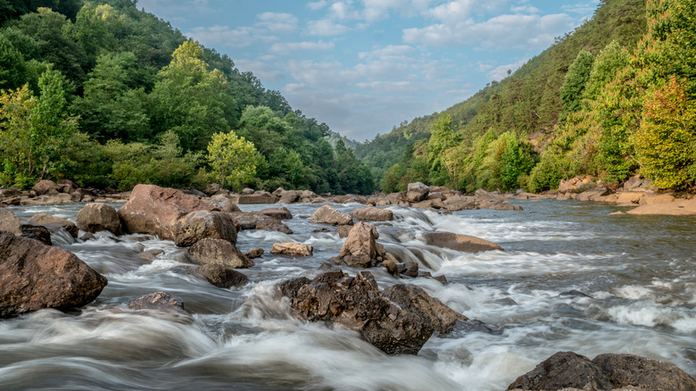 A close up of the whitewater on the Ocoee River