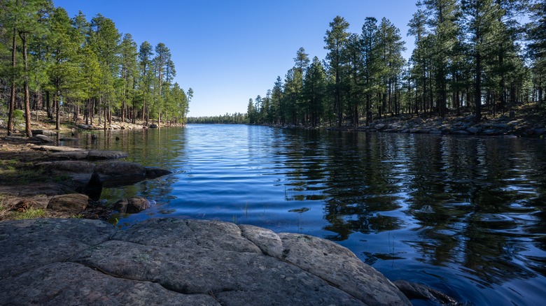 Mogollan Rim in Apache-Sitgreaves National Forest