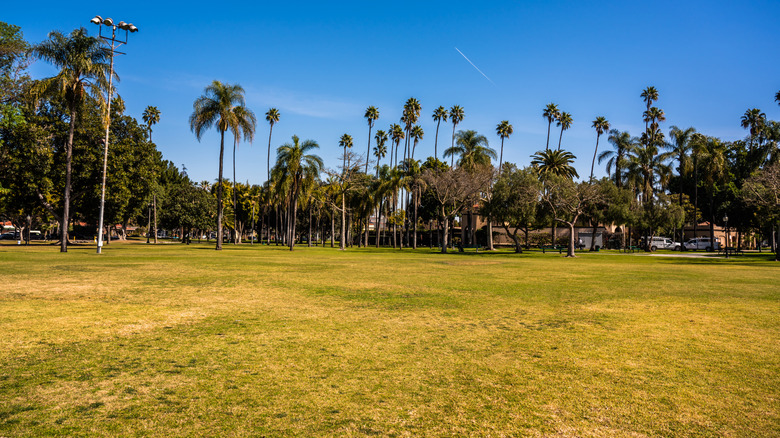 A manicured community park in California, wide angle