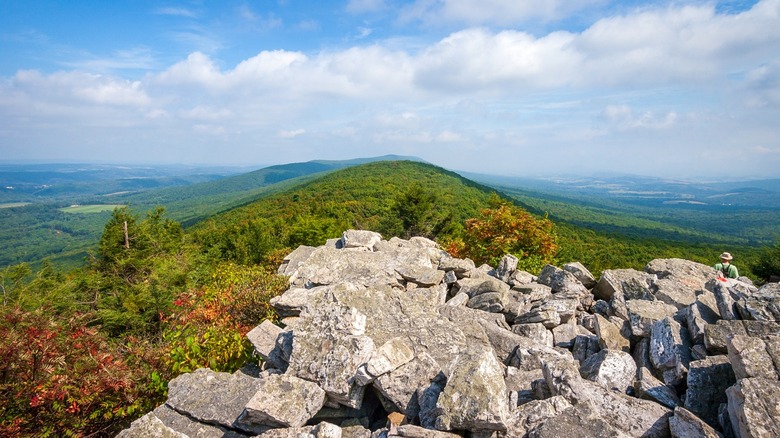 Rolling hills and rocks at Hawk Mountain Sanctury