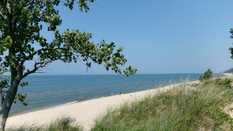 Sunny day at Saugatuck Dunes State Park on Lake Michigan