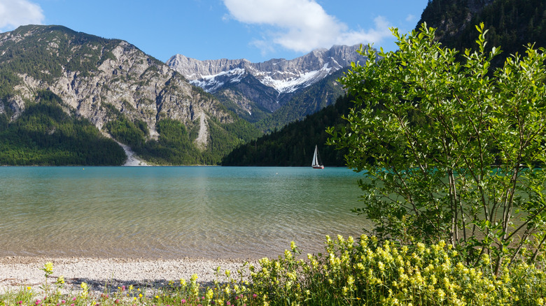 A view of Lake Plansee from the bank, with mountains on the other side