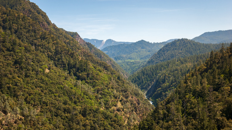Green hilly landscape in Six Rivers National Forest
