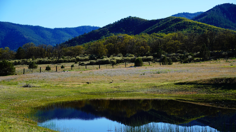 Lake and green field in Klamath National Forest, California