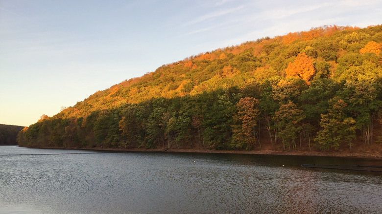 Giuffrida Park in fall