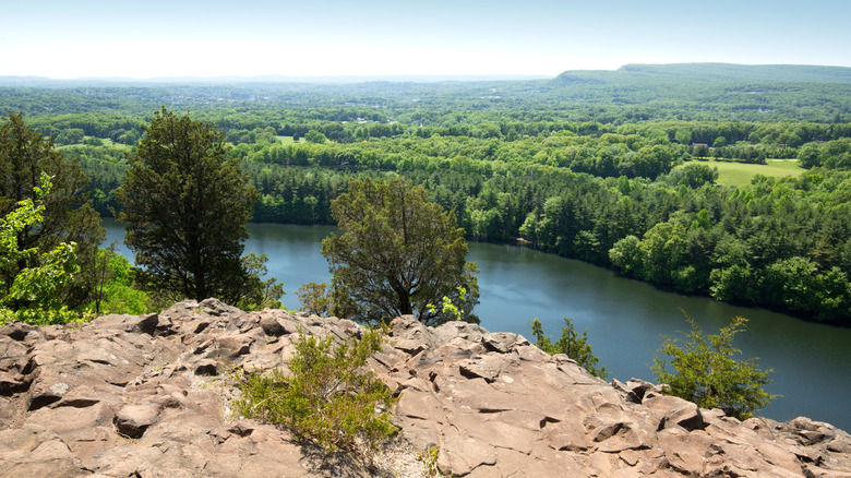 Giuffrida Park Chauncey Peak Trail