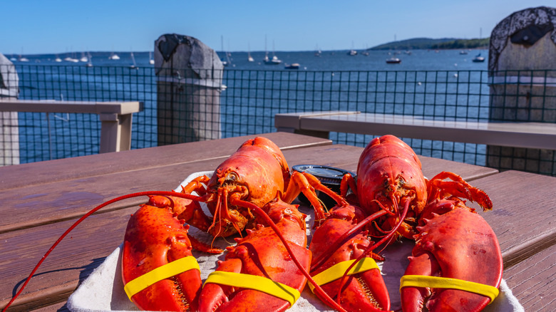 Two freshly cooked bright red lobsters with tied claws await being devoured as they sit on a wooden table overlooking the dark blue waters of Penobscot Bay full of boats and before a clear, crisp blue sky devoid of clouds during the Maine Lobster Festival in Rockland, Knox County