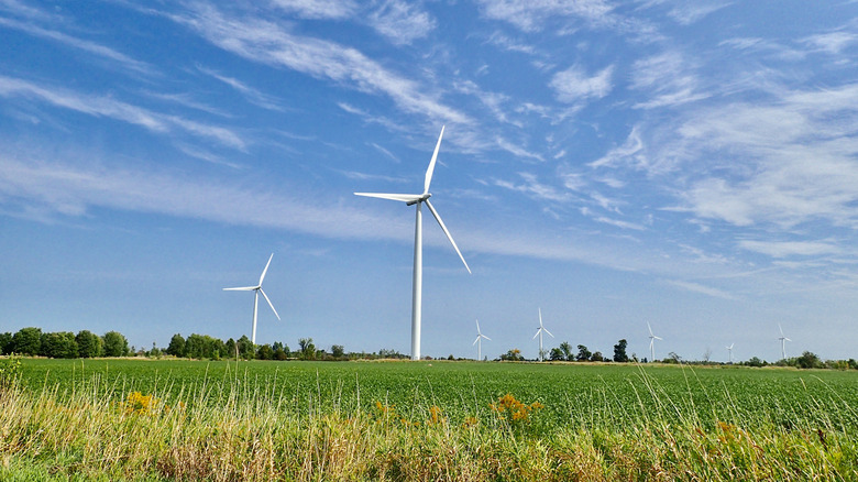 Fields with wind turbines on Wolfe Island