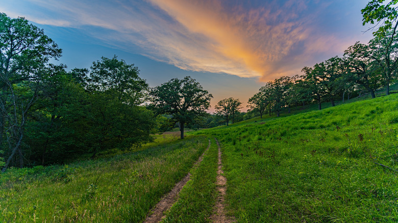 A dirt trail through nature in Hitchcock Nature Center