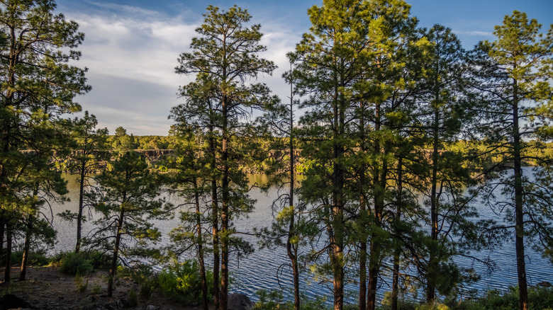 Fool Hollow Lake Recreation Area in Arizona