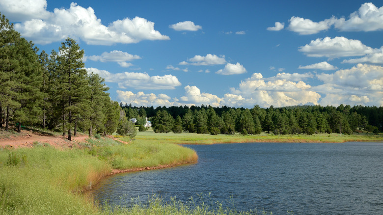 Fool Hollow Lake in Arizona