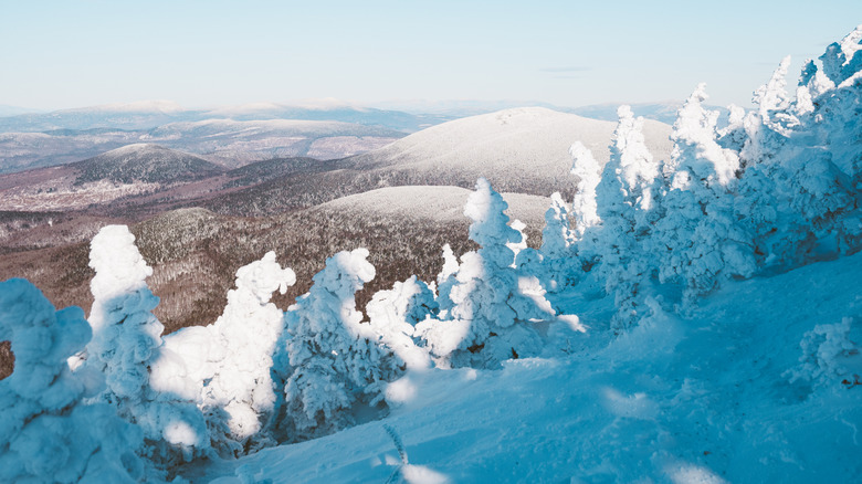 Snowy view from the top of Old Speck Mountain in Grafton Notch State Park in Maine